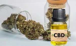CBD-Oil