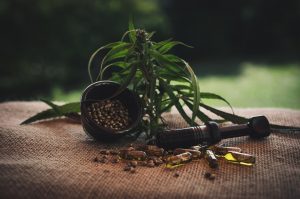 cbd-ol-g9fd2a9771_1280
