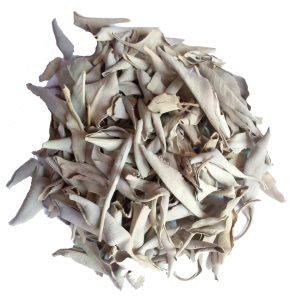 sauge blanche