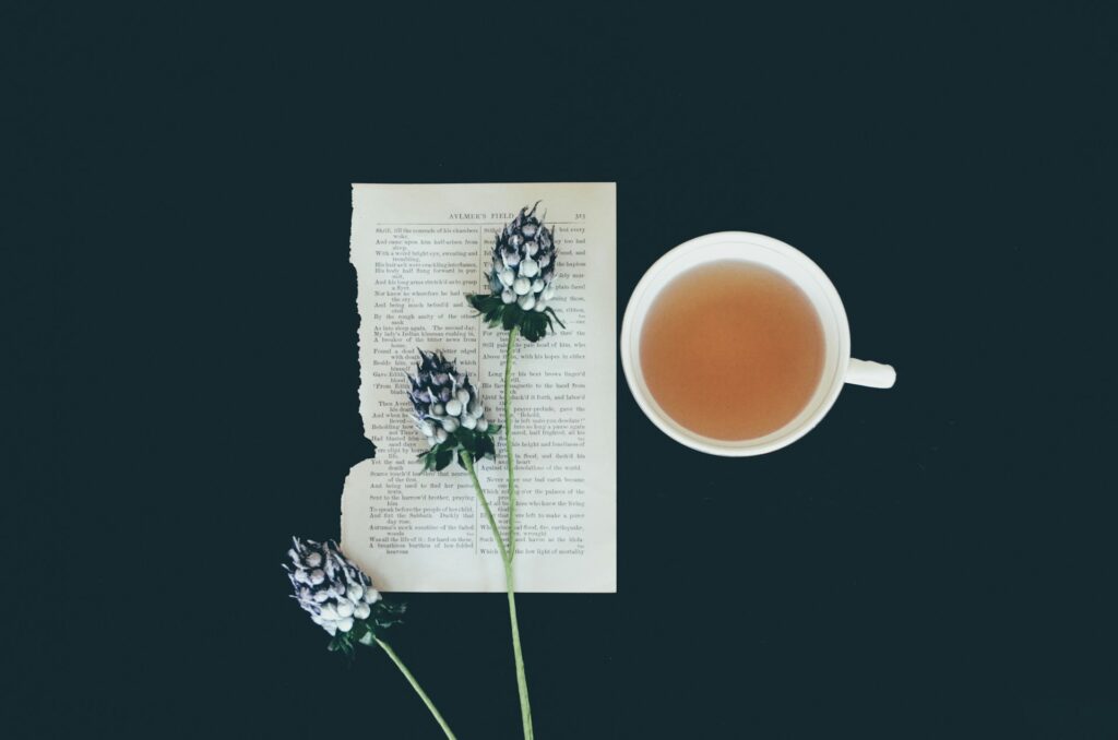 debby-hudson-FO4gzqI2t84-unsplash
