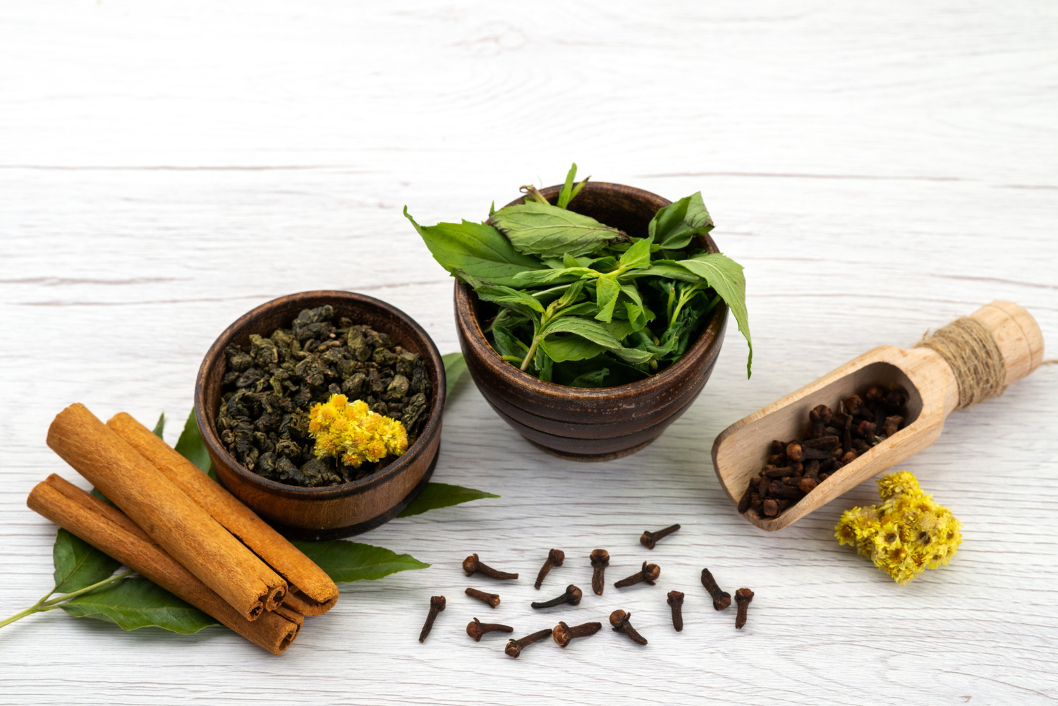 Plantes_medicinales
