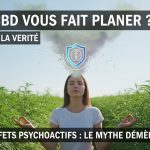 CBD et Effets Psychoactifs : Mythes et Réalités