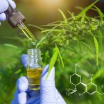 Comment choisir un produit au CBD adapté à ses besoins ?