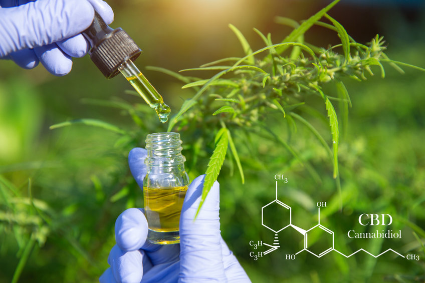 close up of Hemp oil in human hands, CBD formula.  cannabinoids
